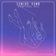 Coming down Festival Mix Single