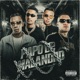 Papo de Malandro Single