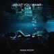 What You Want Single