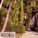 Cocoanut Row feat DJ Chief Single