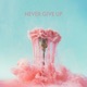 Never Give Up Single