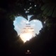 Пойми Single