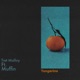 Tangerine feat Muffin Single