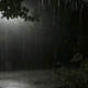 torrential rain Single
