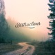 Distractions Single