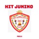 Hit Junino Quadrilha do Arão Single