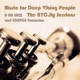Music for Deep Vibing People The NYC ity Sessions A Nu Jazz and Lounge Excursion