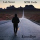 GoodBye feat MTM Foolie Single