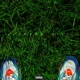 Greener Side feat Blanketboi Single