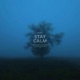 Stay Calm Single