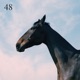 48 feat Jay Prince Single