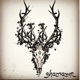 Shamanic Single