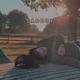 Sad Boy Single