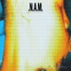 N A M Single