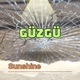 Güzgü Single