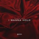 I Wanna Hold Single