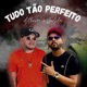 Tudo Tão Perfeito feat Dodida Single
