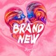 Brand New Single