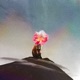 Fox On Mountain With Flower Head Single