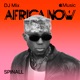 Africa Now June 2026 DJ Mix