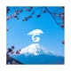 Flower Single