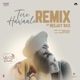 Tere Hawaale Remix Single