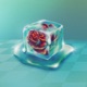 Good Winter feat Birthh Single