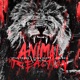 Animal Reaction feat Jess Ball Single