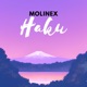 Haku Single