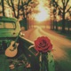 ROSE Single