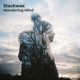Wandering Mind Single