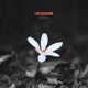 Late Blossom Single