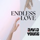 Endless Love Single