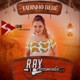Tadinho Bebê feat DJ Alle Mark Single