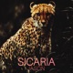 Sicaria Single