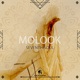 Molook Single
