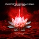 The White Lotus Single