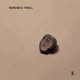 Nordsø Theill