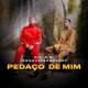 Pedaço de Mim Single