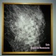Gnosis en Movimiento Single