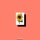 Flower Bed Single