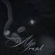 Algo Real Single