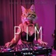 PIM Radio Edit feat DJ Sadie Single