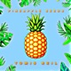 Pineapple Seeds Single