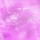 Boujee Girl Single