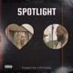Spotlight Single