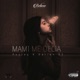 Mami Me Decia Single