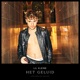 Het Geluid Single