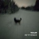 Grey Sky Permanence Single