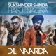 Dil Vaarda Single